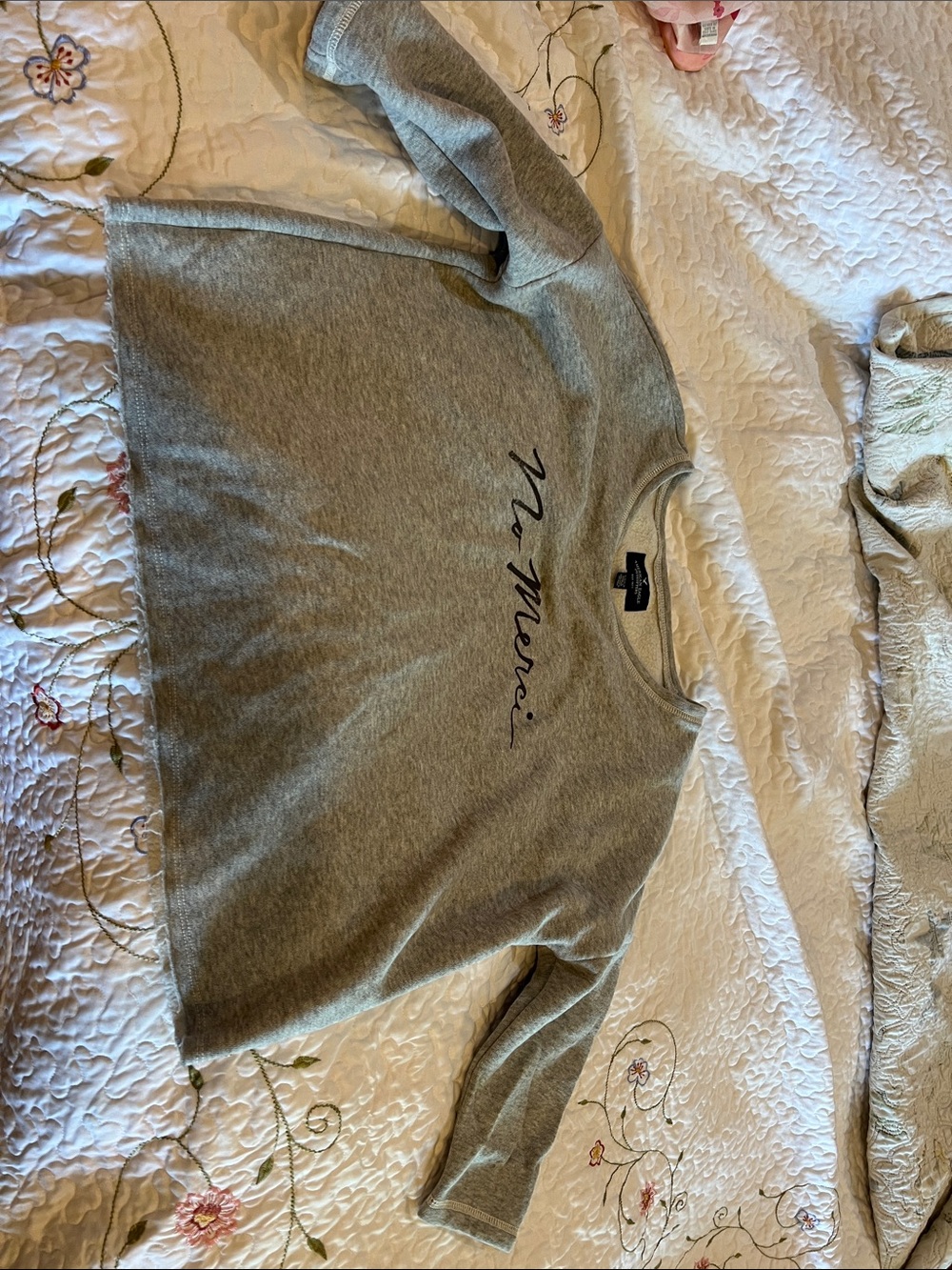 American Eagle Outfitters Grey Crewneck Sweatshirt with Script